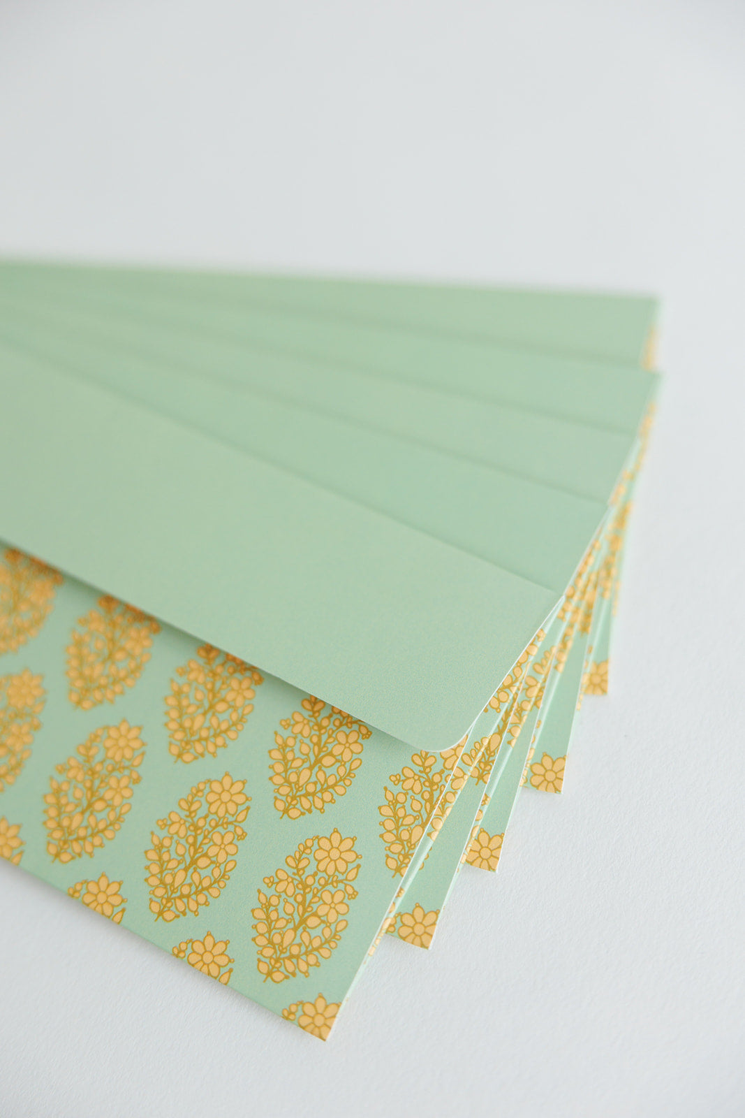 luxury eco friendly green money envelope