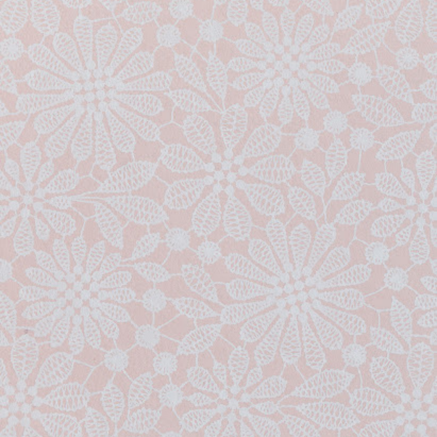Light top pink lace
